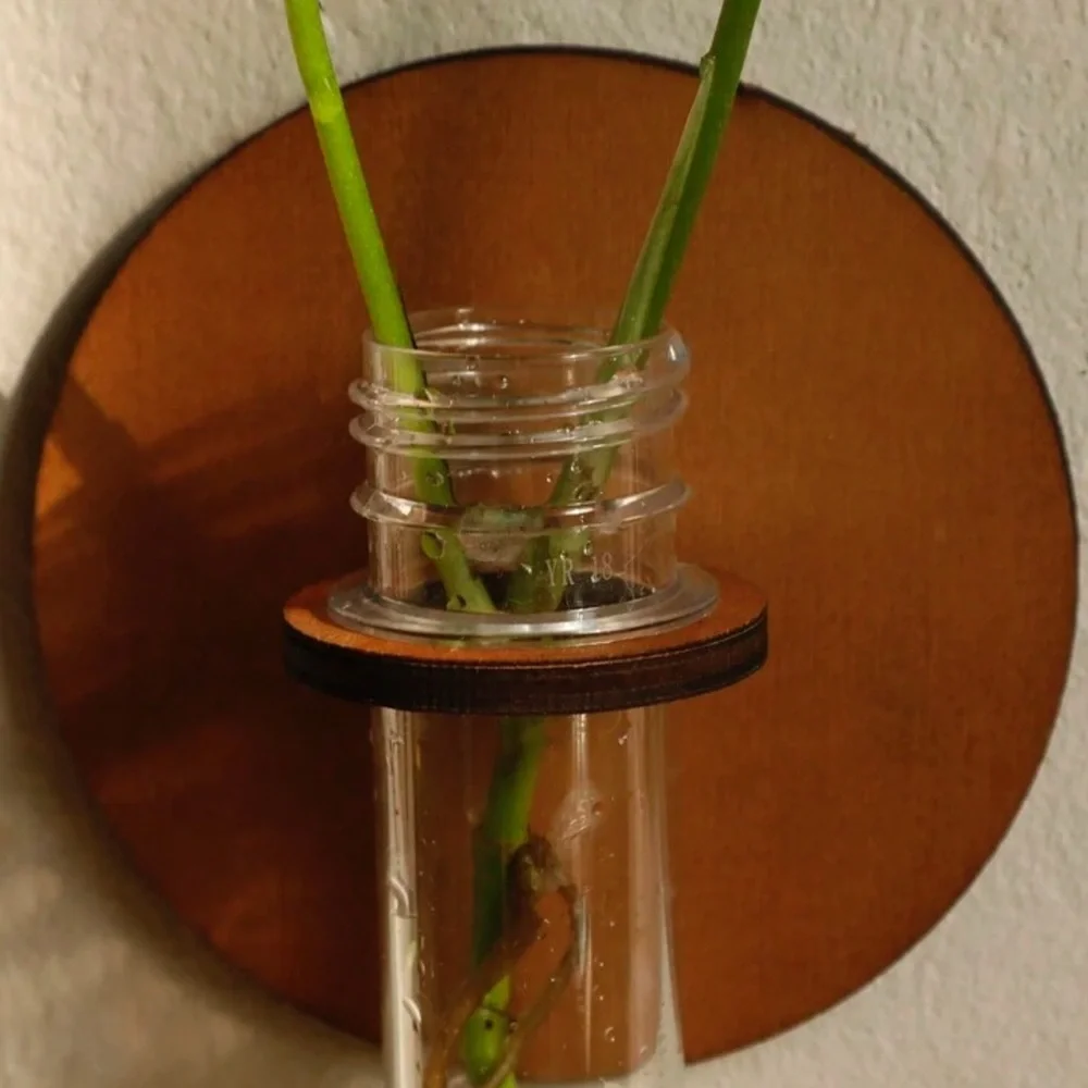 Moon Phase Hanging Plant Propagation Test Tube Station Gift Wall Decor Vase Boho